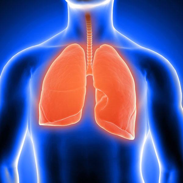 Профилактика заболеваний верхних дыхательных путей